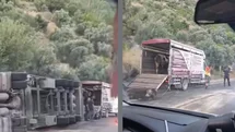 Silifke - Mut Yolundaki TIR Kazasında Can Pazarı: Hayvanlar Başka Araca Nakledildi