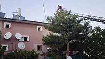 Erzincan'da Apartman Çatısında Kedi Kurtarıldı