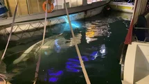 Sinop'ta Battı Tekne Çalışmalar Devam Ediyor