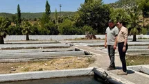 Bozdoğan Kaymakamı Sözen İncelemelerde Bulundu