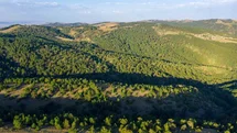 Sivas’ta Ormanlık Alanlara Giriş Yasaklandı