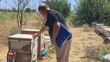 Köşk'te Arılı Kovan Tespit Çalışmaları Devam Ediyor