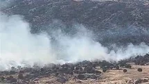 Adıyaman'da Orman Yangını Çıktı