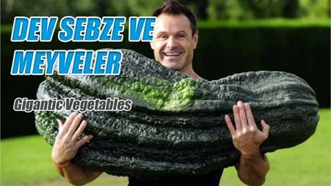 Dev Sebze ve Dev Meyveler Yetiştirilmiş Büyük Meyveler