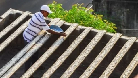 4 bin papağan besliyor