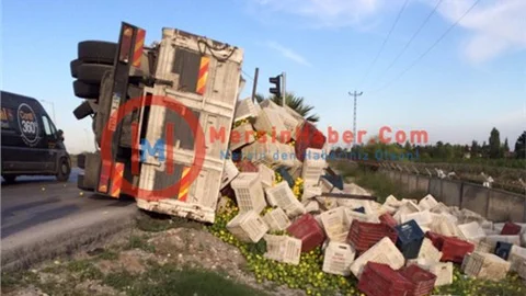 Mersin'de Narenciye Yüklü Kamyon Devrildi