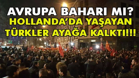 Hollanda  Rotterdam'da Protestolar. Türkler Ayağa Kalktı!