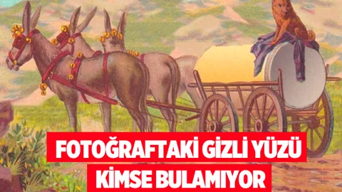 FOTOĞRAFTA GİZLİ YÜZÜ KİMSE GÖREMİYOR!