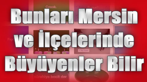 Mersin ve İlçelerinde Kullanılan Kelimeler, Yöresel Şive ve Kelimeler