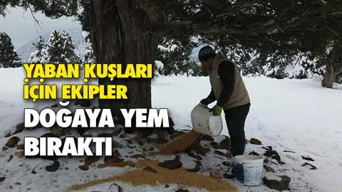 Karla Kaplı Dağlara, Yaban Hayvanları İçin Yem Bırakıldı
