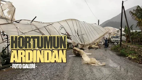 İşte Mersin’de Hortumun Vurduğu Muz Seraları! Hortumdan Sonra Fotoğraflar