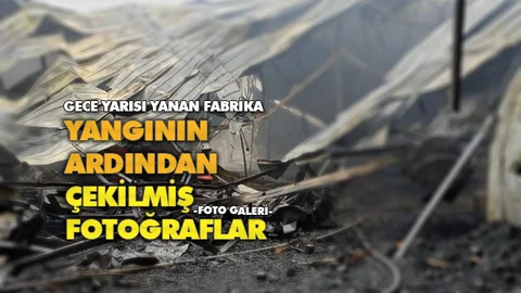 Mersin Tarsus Yenice’deki Narenciye Fabrikasında Yangından Sonra Çekilmiş Fotoğraflar