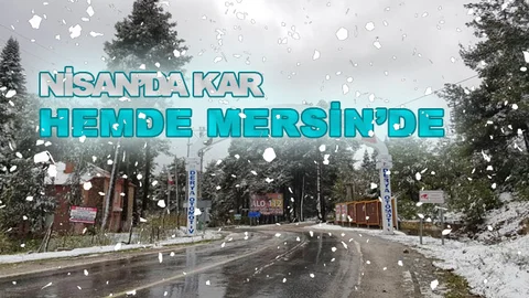 Bu Kar Fotoğrafları Bugün (Cumartesi Günü) Çekildi, Hem de Kar Henüz Yağmış İken