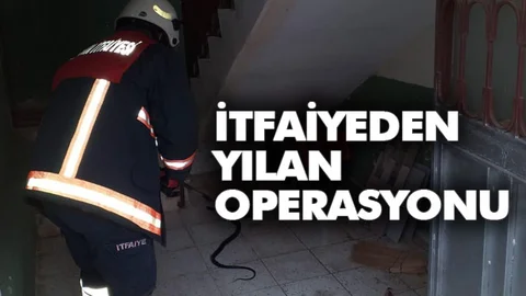 Mersin Erdemli’de Büyükşehir İtfaiye Ekiplerinden Yılan Operasyonu