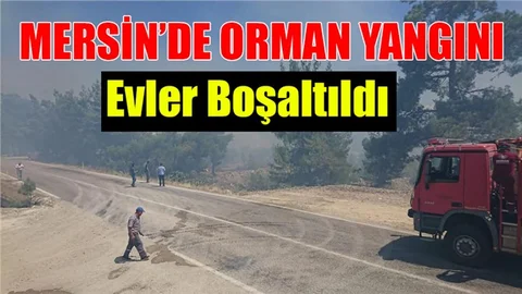 Mersin Silifke 'de Orman Yangını: Dört Ev Tahliye Edildi Yollar Trafiğe Kapatıldı