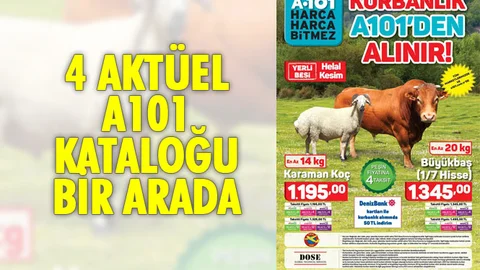 4 Tane A101 İndirimli Fırsat Kataloğu Bir Arada!
