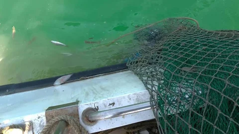 Mersin'de Kaçak Trol Denetimi