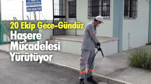 20 Ekip Gece-Gündüz Haşere Mücadelesi Yürütüyor
