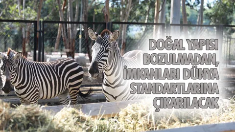 Doğal Yapısı Bozulmadan, İmkanları Dünya Standartlarına Çıkarılacak