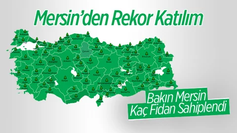 Mersin'de Fidan Sahiplenme Oranı