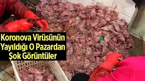 Korona virüsünün Yayıldığı Pazardan Şok Görüntüler
