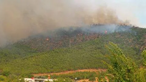 Mersin Orman Yangını (Gülnar - Büyükeceli)