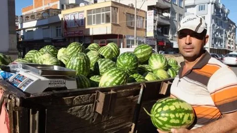 Güz karpuzu çiftçileri sevindirdi!