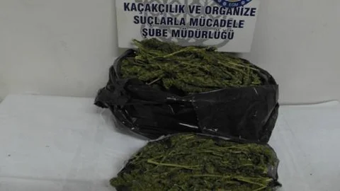 Çorum polisinden uyuşturucu operasyonu!