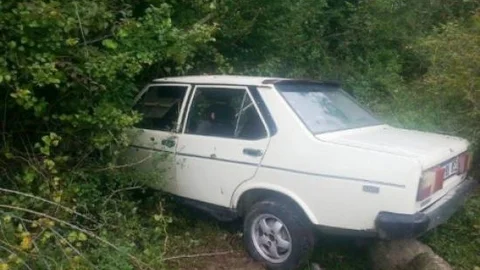 Yoldan Çıkan Otomobil Çalılıklara Uçtu: 1 Yaralı