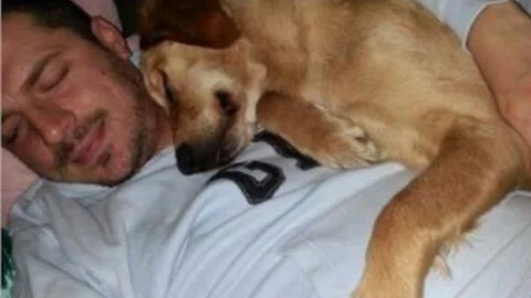 Köpeğin İnanılmaz Sevgi Gösterisi Kamerada