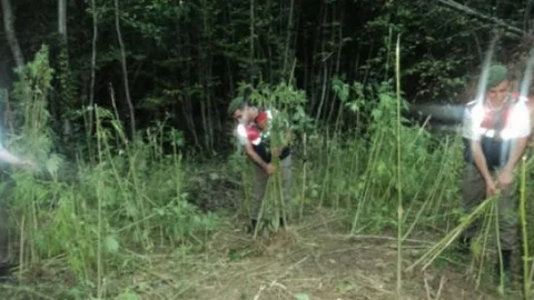 Jandarmadan Nefes Kesen Operasyon