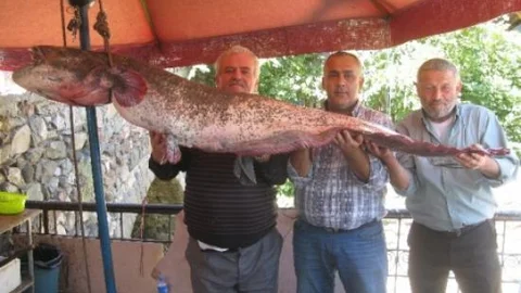 Dev Yayın Balığı Büyük İlgi Çekti