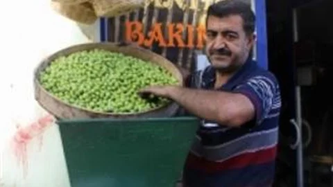 Sofralık Zeytin Piyasada
