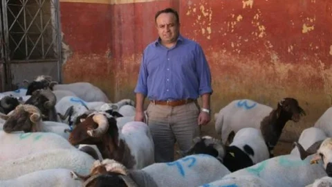 Kurbanlık Hayvan Alımında Nelere Dikkat Edilmelidir?