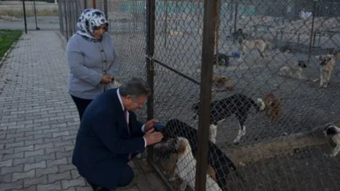 Erzincan Valisi Süleyman Kahraman Hayvan Barınağında İncelemelerde Bulundu
