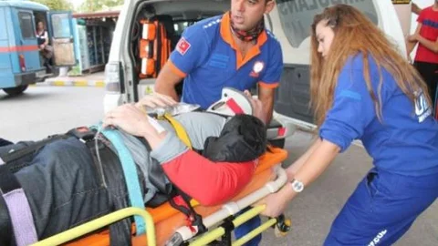 Ağaç Kanadalı Turistin Hayatını Kurtardı