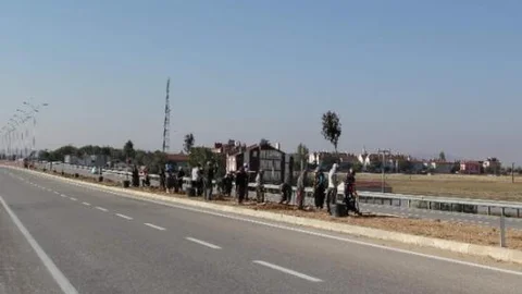 Cihanbeyli'de Refüjler Yeşilleniyor