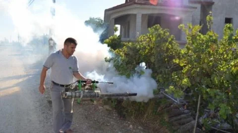 Sivrisinekle Mücadele Devam Ediyor