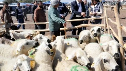 Polis Hayvan Pazarında Sahte Para Eğitimi Verdi