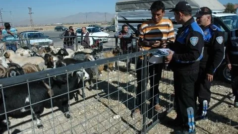 Kurban Pazarları Polisin Sıkı Takibinde