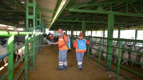 Canlı Hayvan Pazarı İlaçlandı