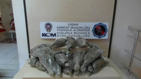 Uşak'ta 6 Kilo Esrar Ele Geçirildi