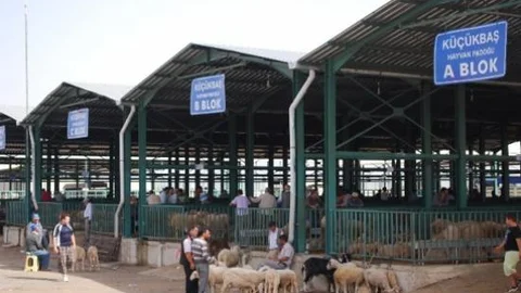 Jandarma Hayvan Hırsızlıklarına Karşı Uyardı