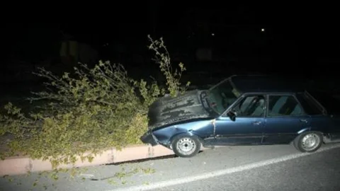 Otomobil Ağacı Yerinden Söktü