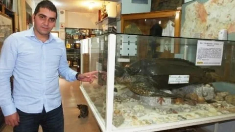 Dünyanın En Büyük Su Kaplumbağası Edremit'te Sergileniyor