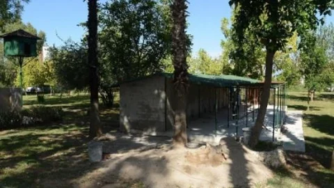 Büyükşehir Sokak Kedilerine Sahip Çıkıyor