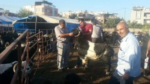 Hayvan Pazarları Denetleniyor