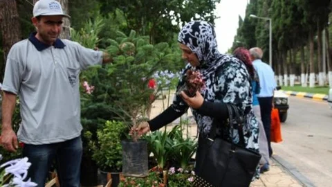 Büyükşehir Mezarlıkta 7 Bin Adet Fidan Dağıtacak