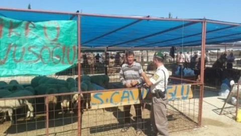 Alanya'da Jandarma Kurban Satıcılarını Uyardı