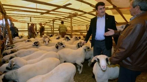 Başkan Dündar Kurban Satış Yerlerini Gezdi